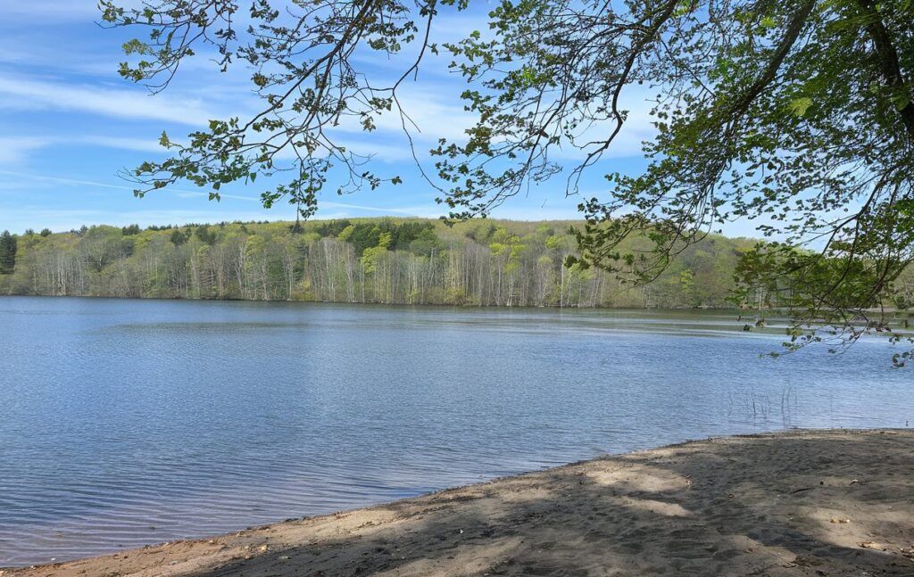 Cockaponset State Forest 