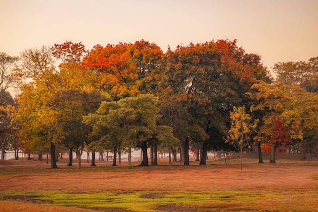 Connecticut Parks