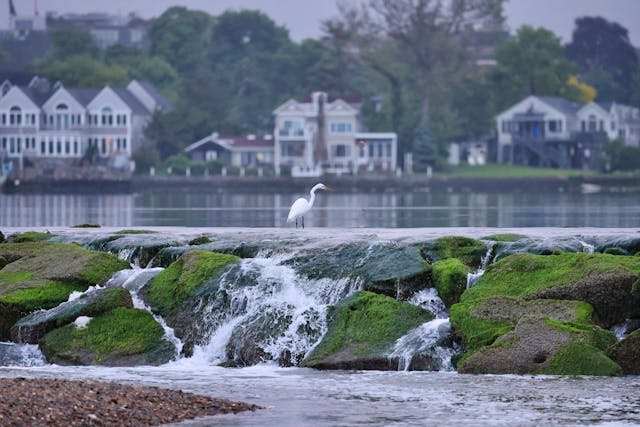 Connecticut Rivers