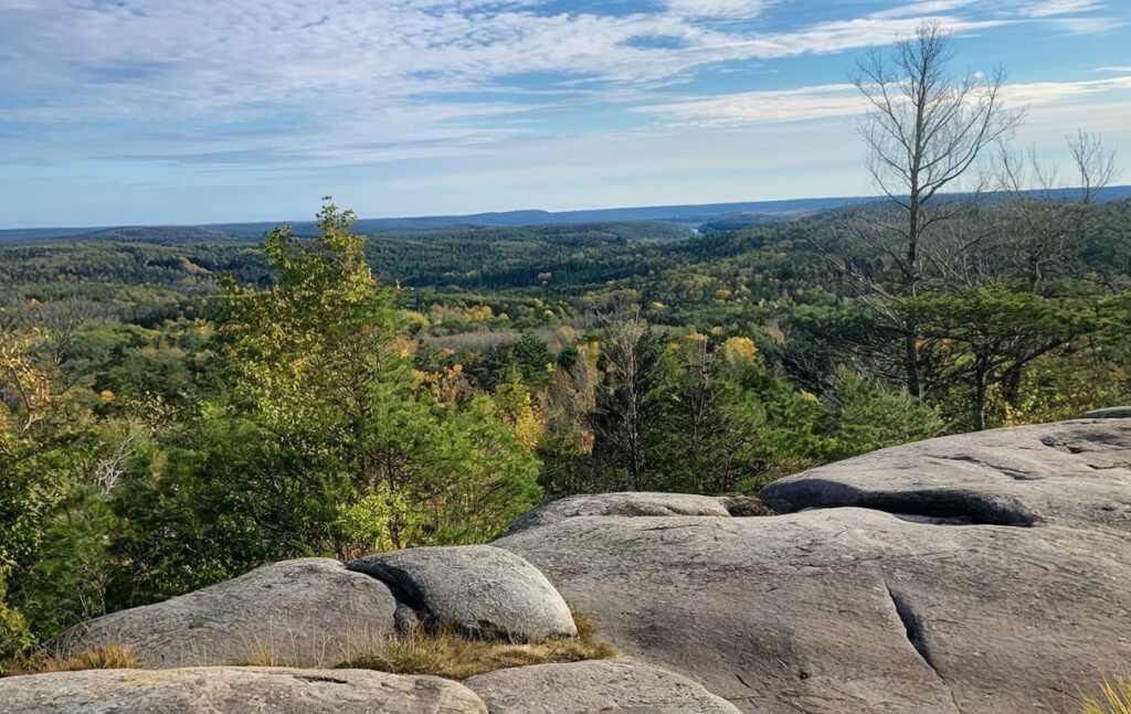 Pachaug State Forest 