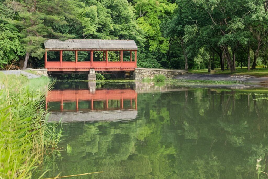 Stratton Brook State Park 