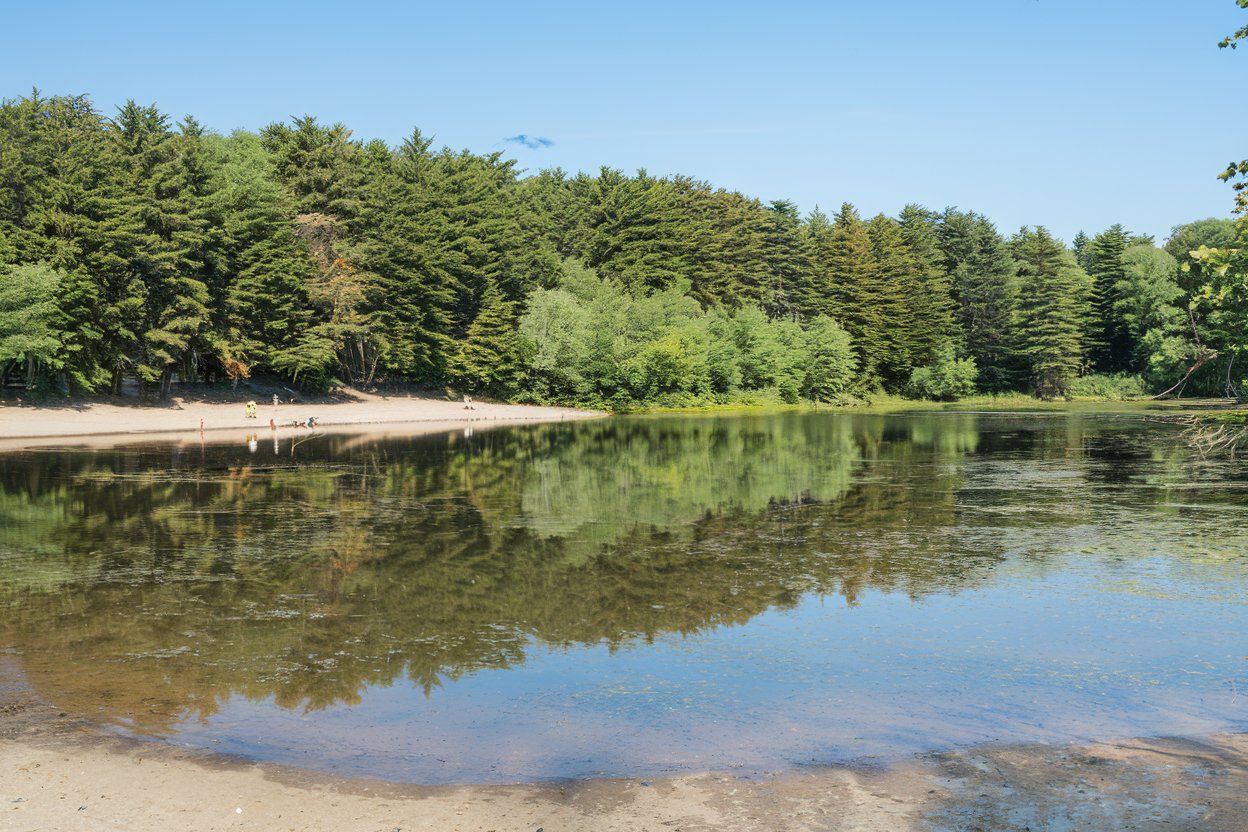 Stratton Brook State Park